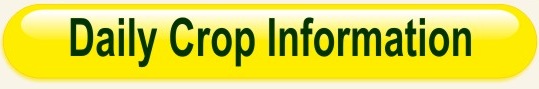 daily crop information button
